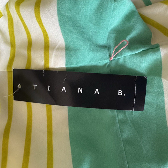 New Tiana B. Womens Dress 14 A Line Yellow Green Stripes Fit & Flare Lined Belt - Picture 10 of 15